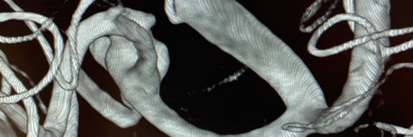 wchrisfox Profile Banner