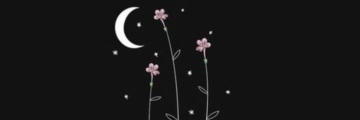 YaniBozza's profile banner image