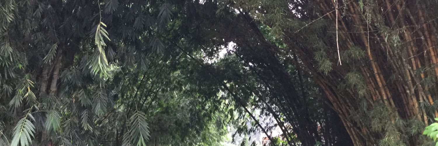 gotogreenec's profile banner image