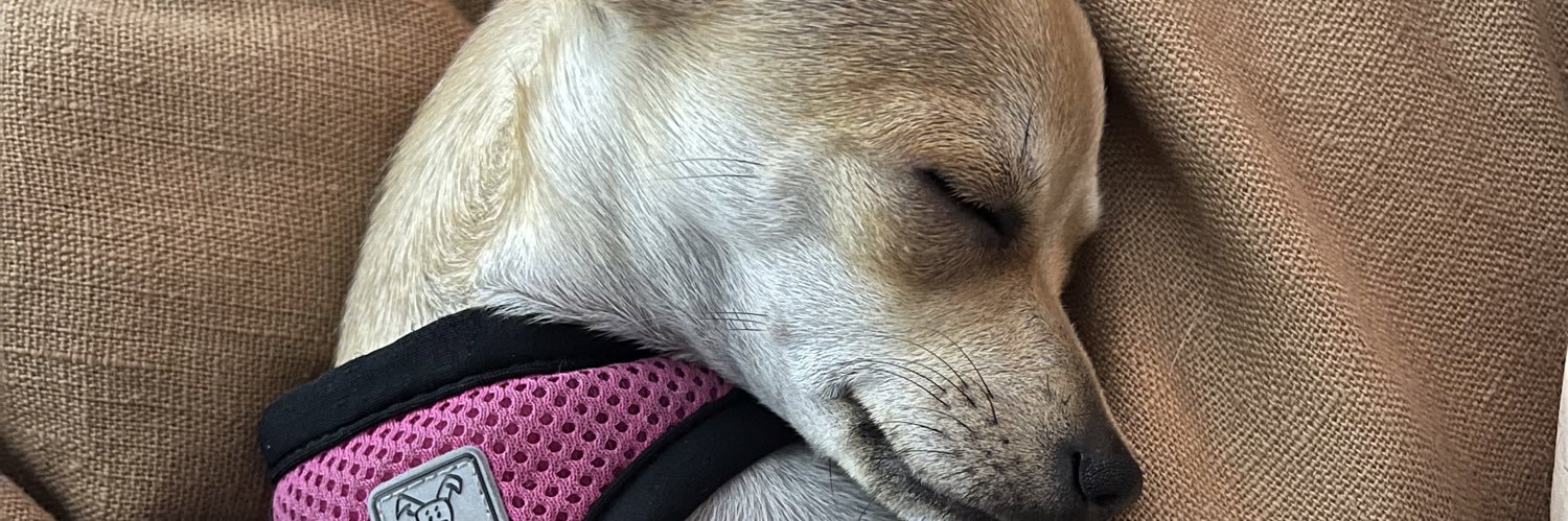 theRealSly©️ banner