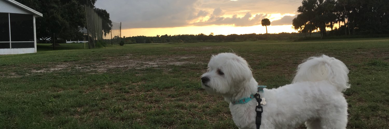 JoshWalbert's profile banner image