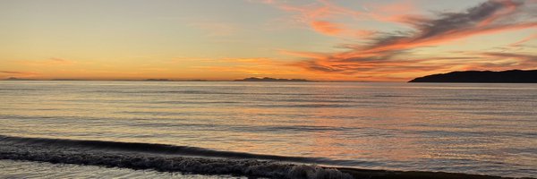 RandomKiwiNZ Profile Banner