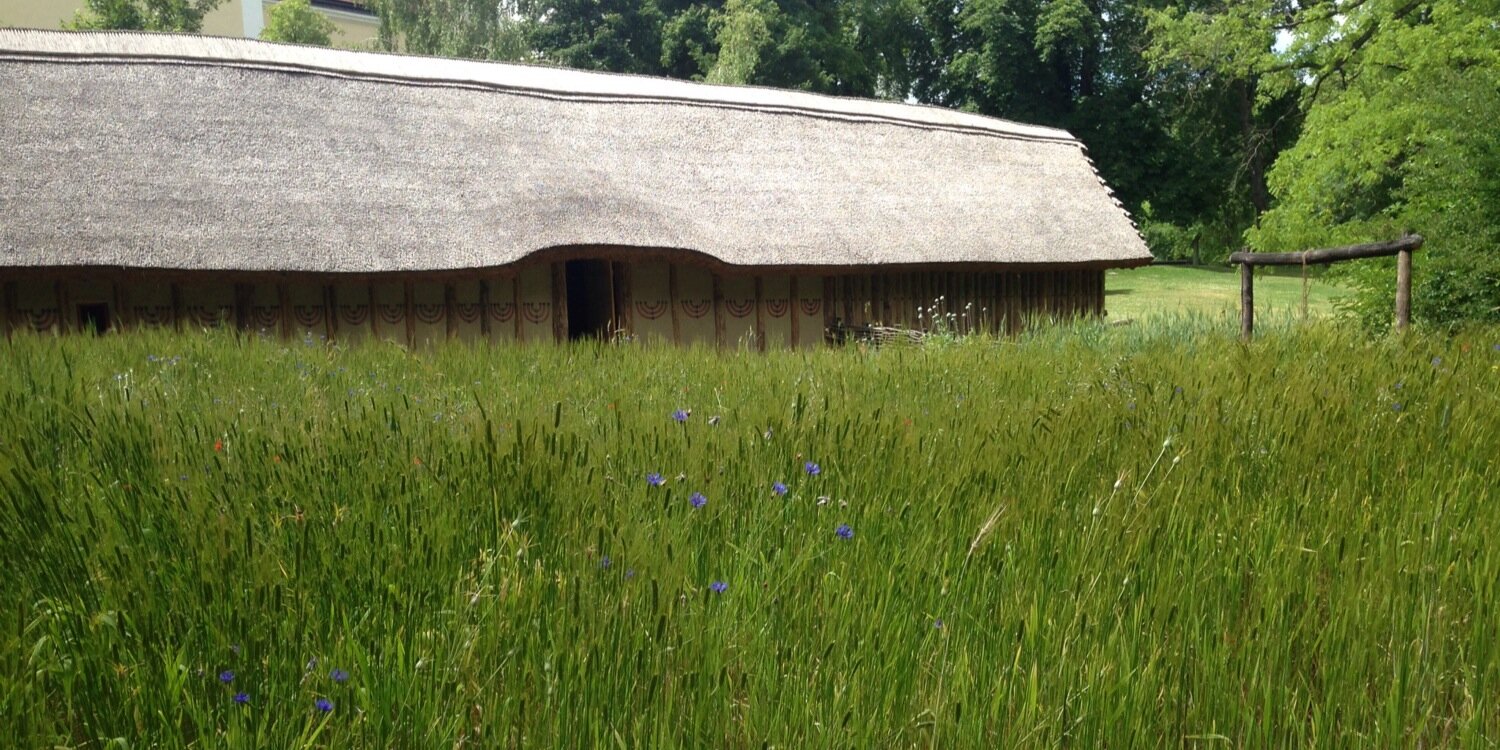 Dr. Penny Bickle FSA banner