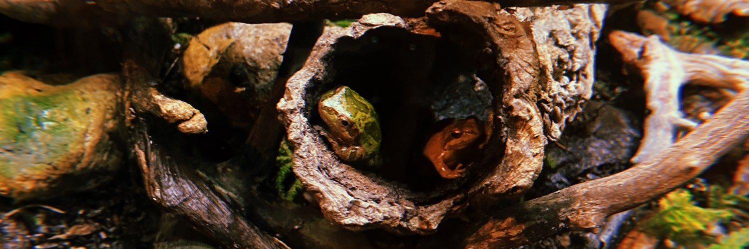 byoncalm's profile banner image