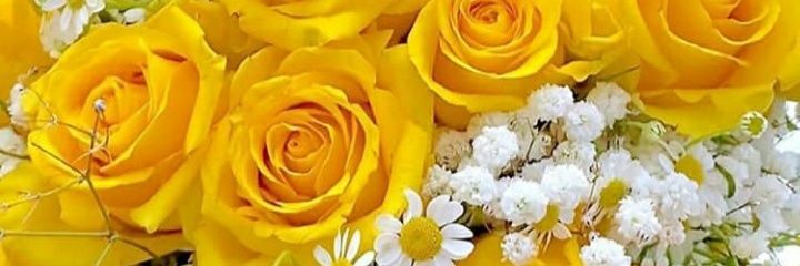 CarmenF68's profile banner image