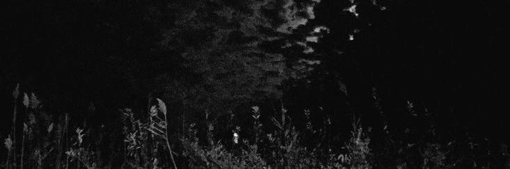 Z , banner