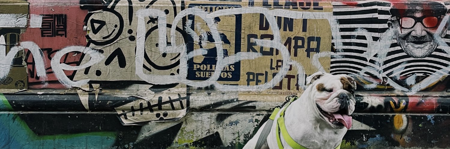 agusfiestas's profile banner image