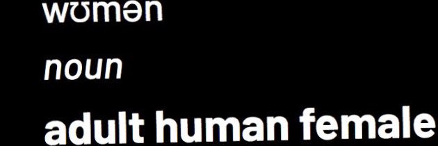 Lipstick on a pig banner