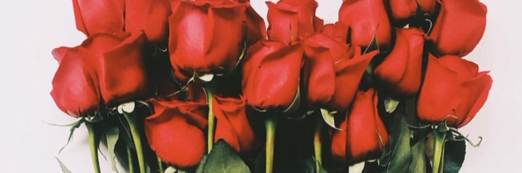 YurLoveVanessa's profile banner image