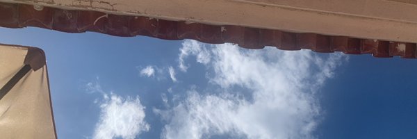 SusannalRodo Profile Banner