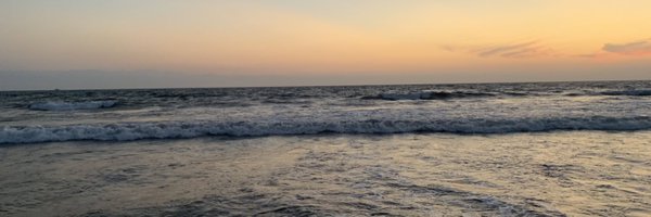 DACHELLEB Profile Banner