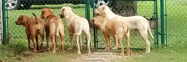 unchecked✝️🇺🇸 banner