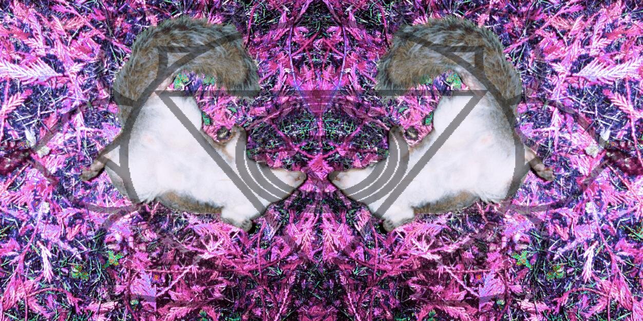 MVRROWOFFICIAL's profile banner image