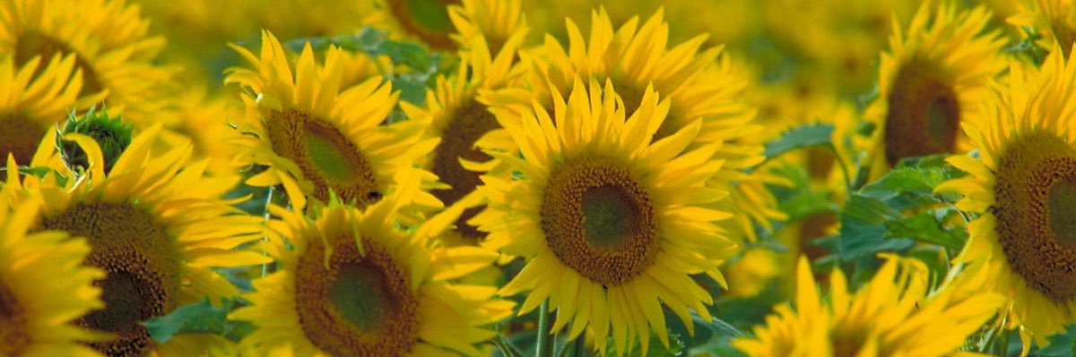STALKme_itsSEXY's profile banner image