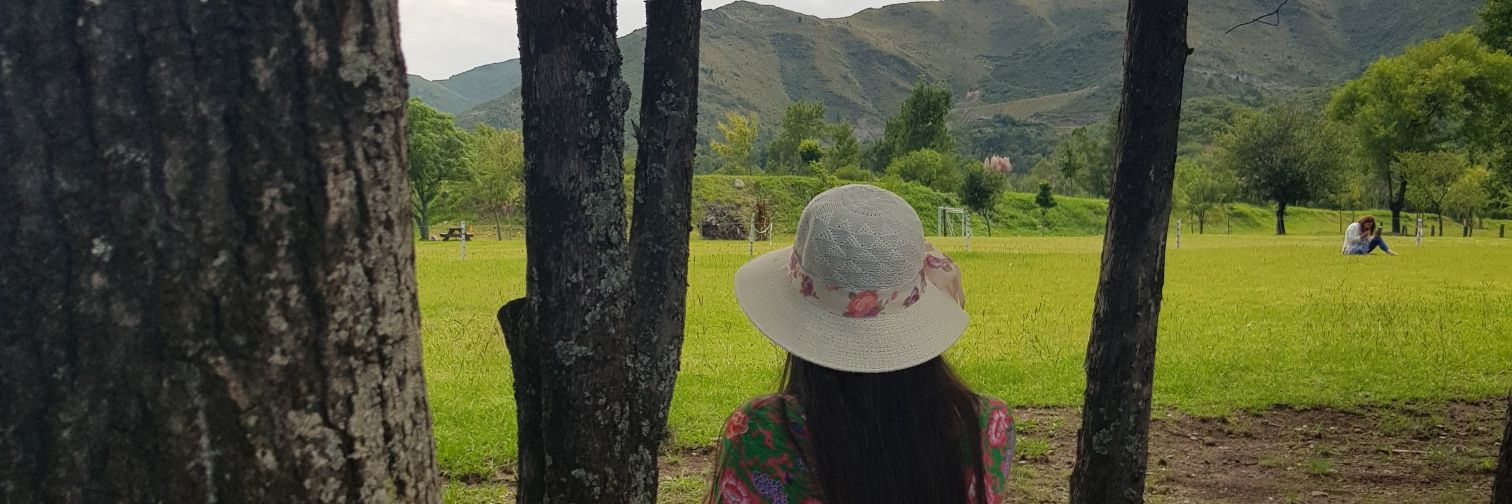 lau_ifc's profile banner image