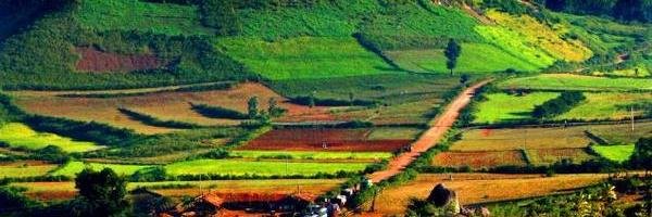 Anshuman banner