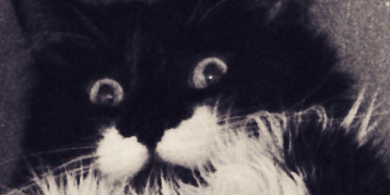 zoevee's profile banner image