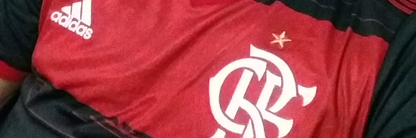 Leonardo Werner banner