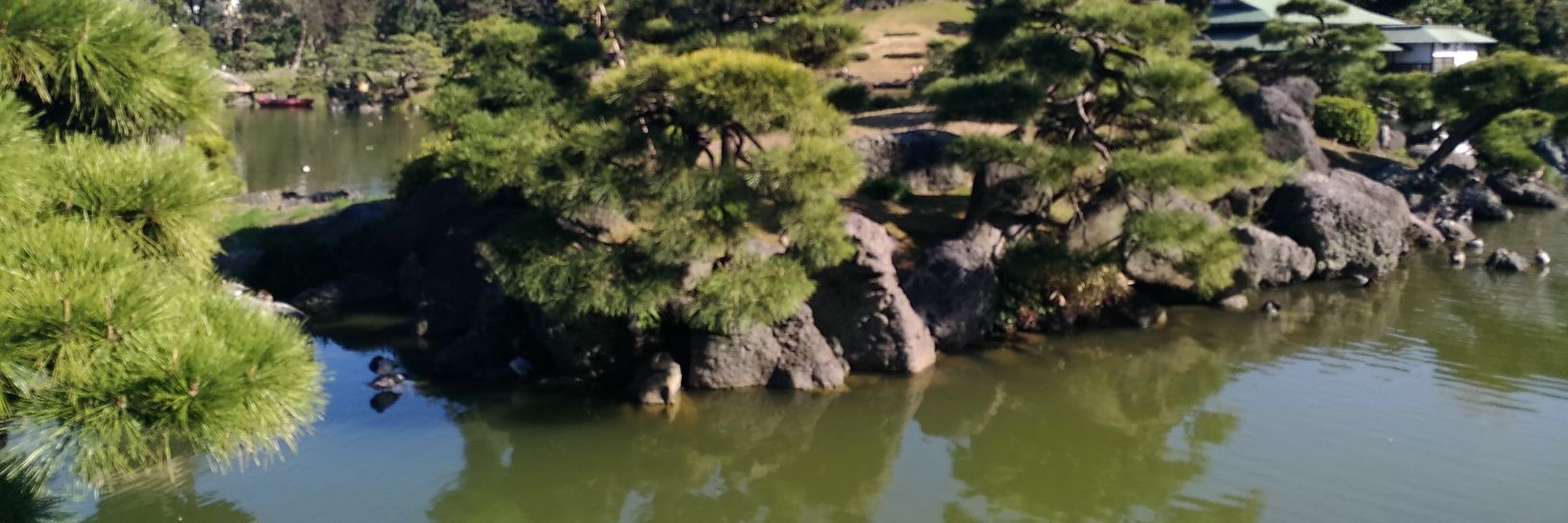 njiuko's profile banner image