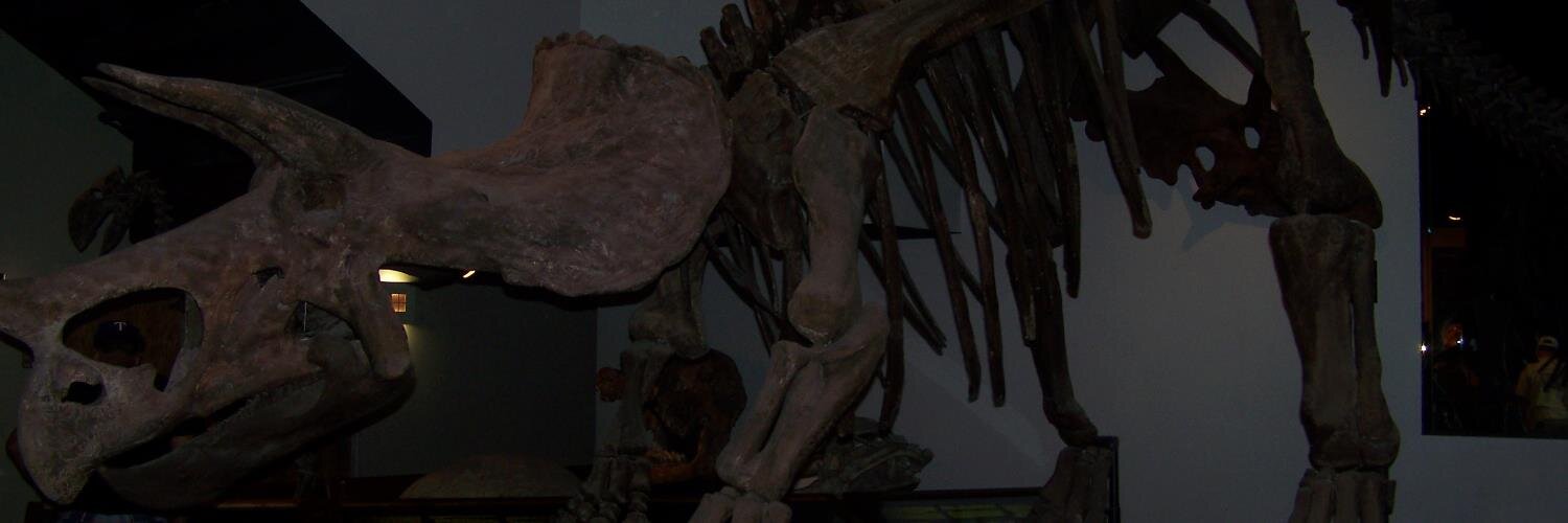 ScottMoeller2's profile banner image