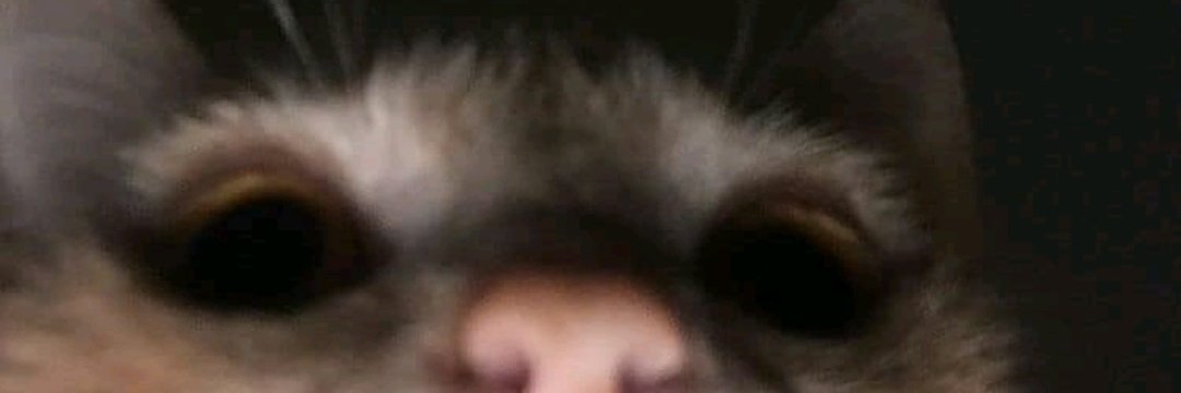 katyAM_19's profile banner image