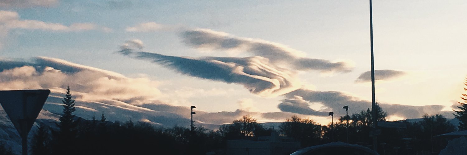 Agnese 🇱🇻🇺🇦 banner