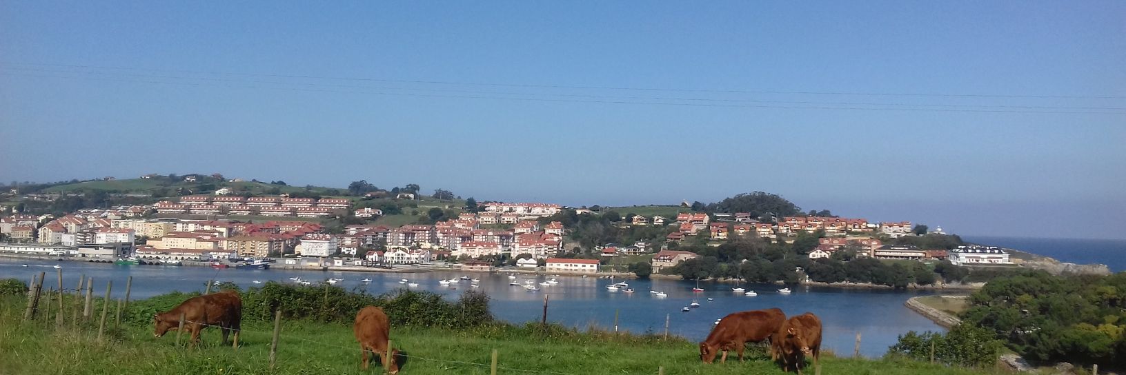 conchi🍀🌴🔥 banner