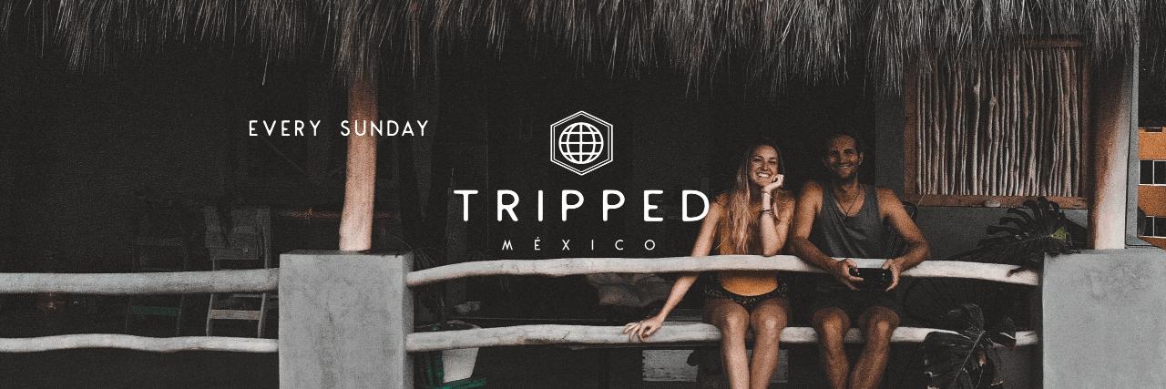 timandfin's profile banner image
