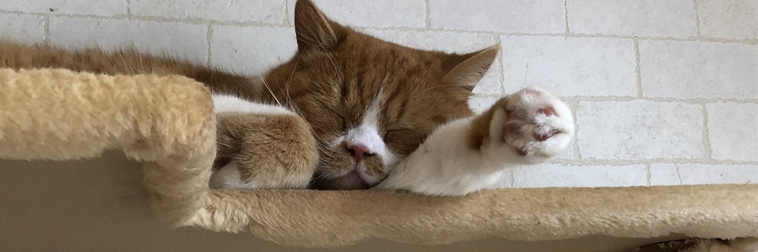 グレイソン banner