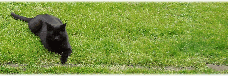 oldmanjo's profile banner image
