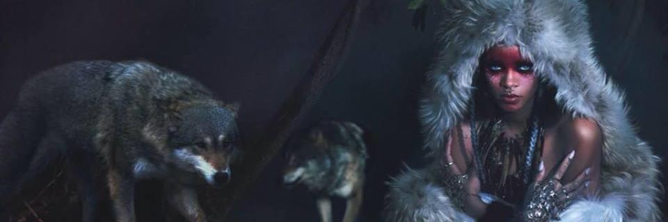 nesliecedogan's profile banner image