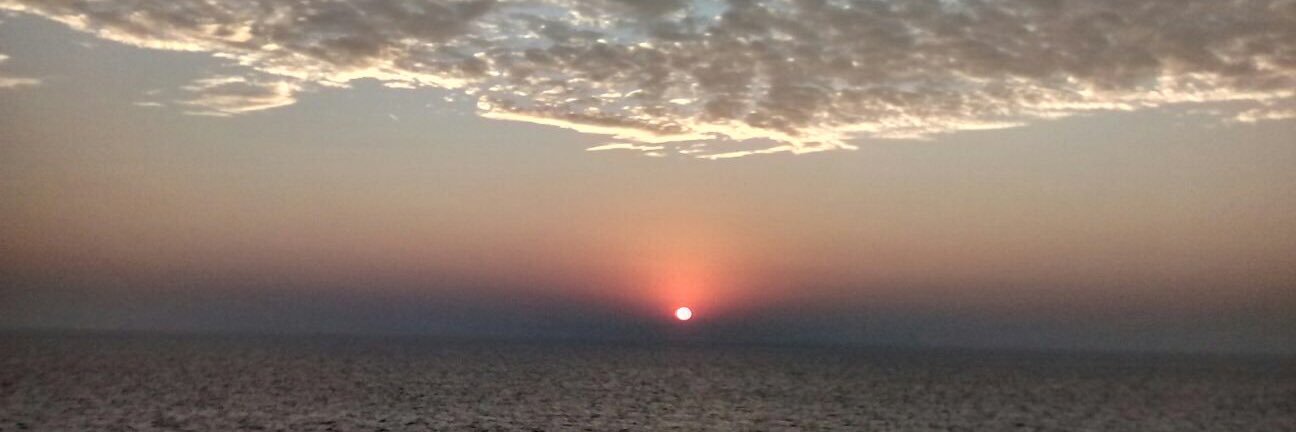NupurSood's profile banner image