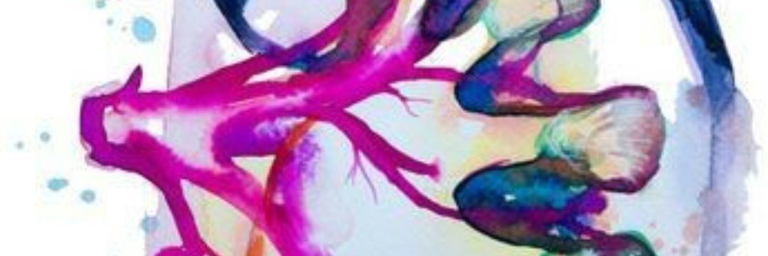 fanny_glz's profile banner image