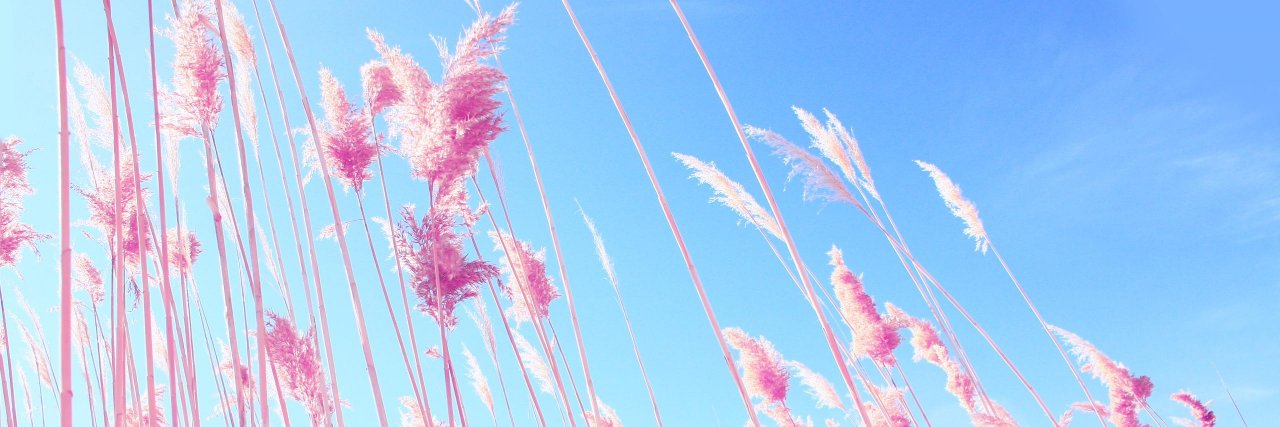 sian__lee's profile banner image
