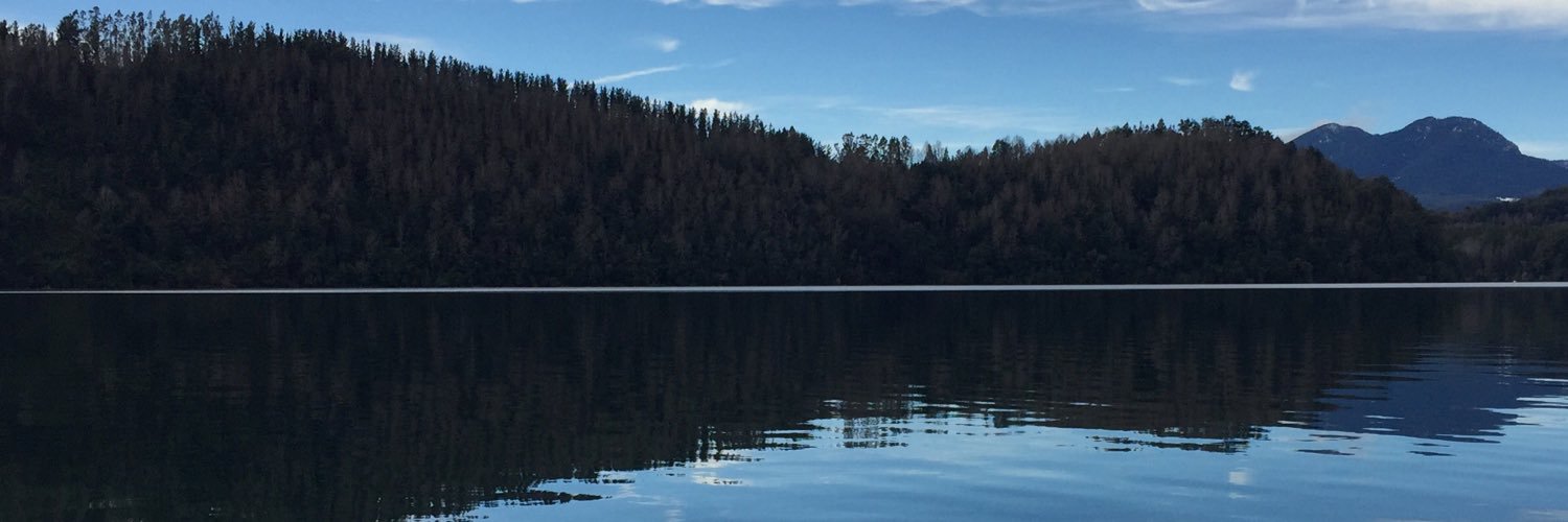 amaliamayol's profile banner image