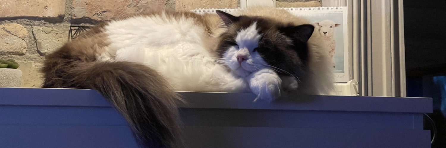 fiterik's profile banner image