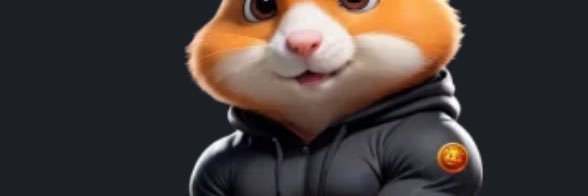 Hamstersembilan's profile banner image