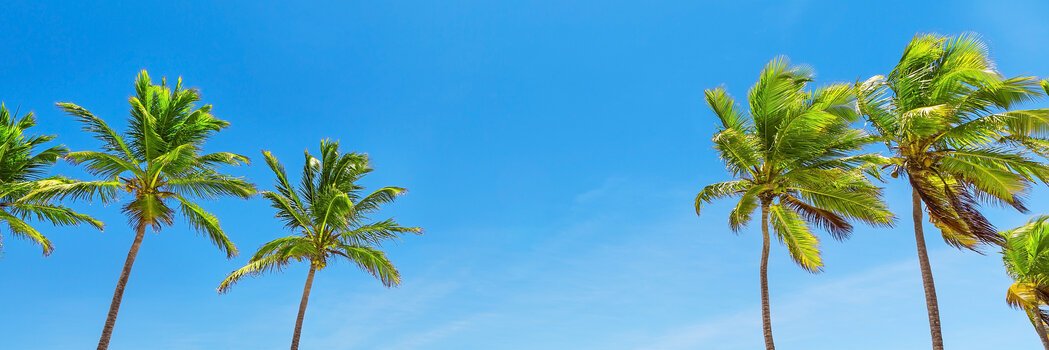 GeorgeKubant's profile banner image