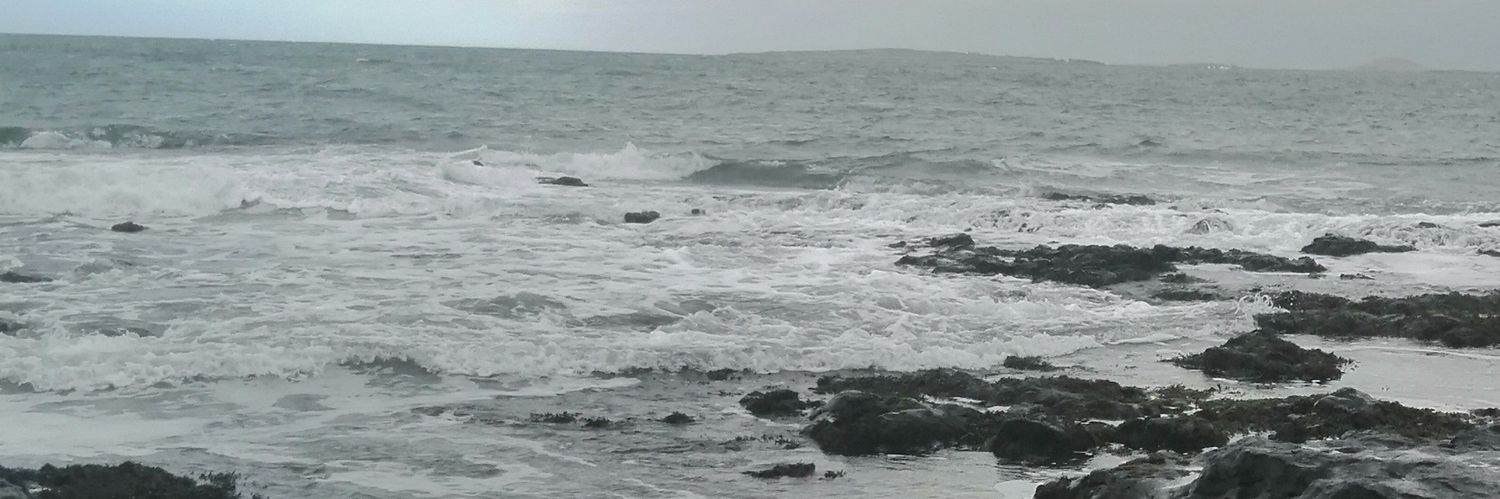 mairead banner