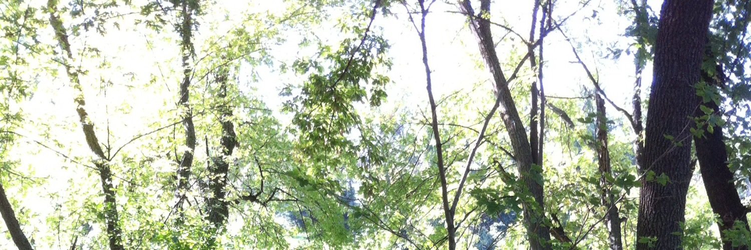 Spaintang's profile banner image