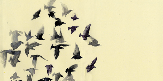 _biluzik's profile banner image