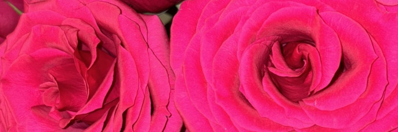 KayKamore's profile banner image