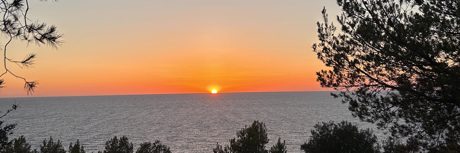 IreneIMD's profile banner image