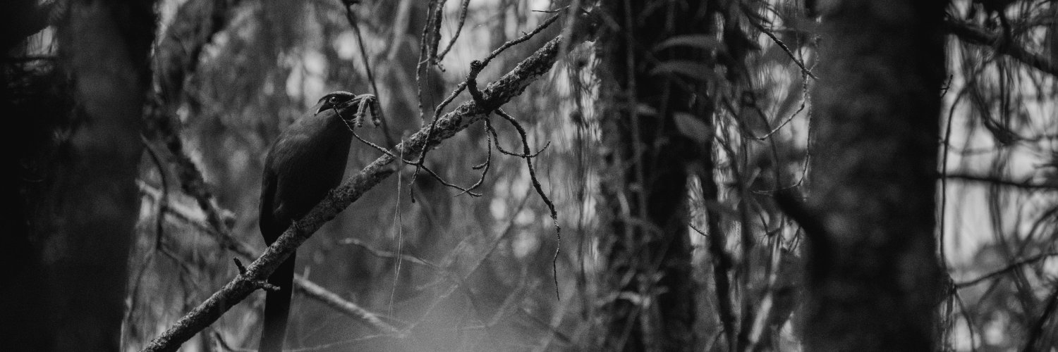 Daniel Garzon Otero banner