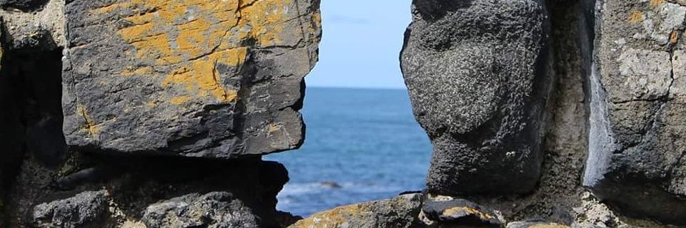 Steph_Reid09's profile banner image