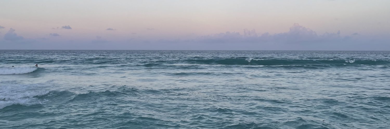breenavarez's profile banner image