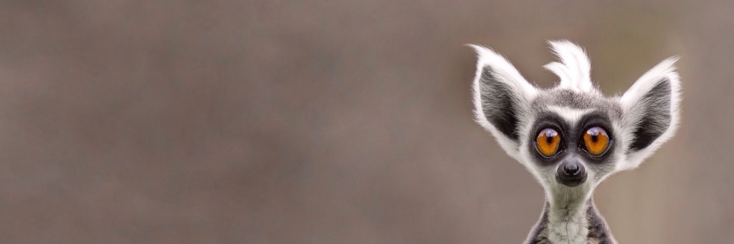 KVrli's profile banner image