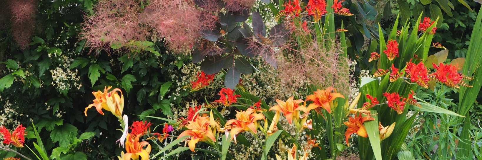 Alexandra Campbell banner