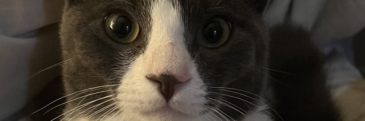 PoeVanGogh's profile banner image