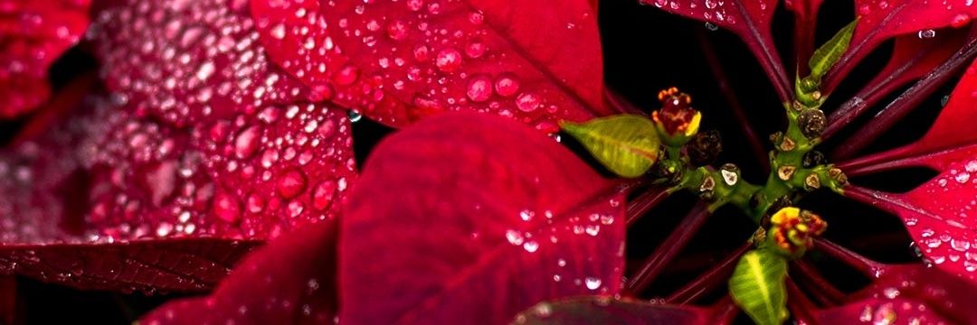 atmubby's profile banner image